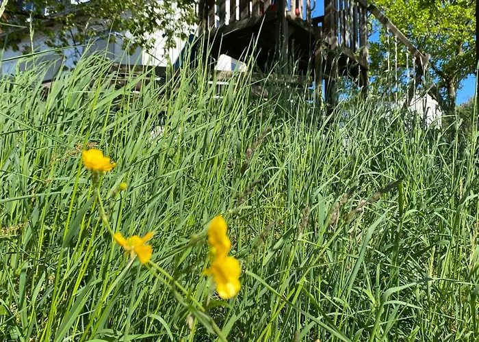 Rhoen Ebert شقة *